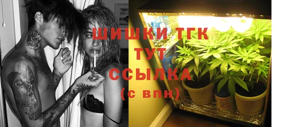 крисы Надым