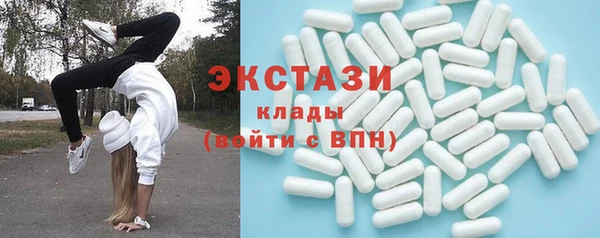 крисы Надым