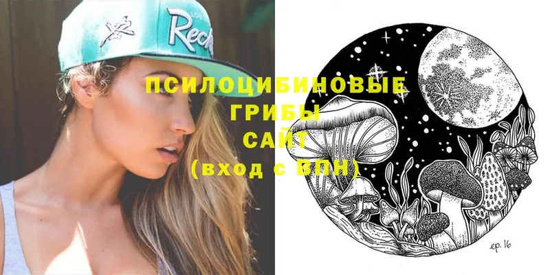 цены наркотик  Новоаннинский  Псилоцибиновые грибы Psilocybe 